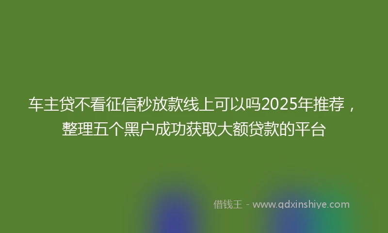 车主贷不看征信秒放款线上可以吗2025年推荐，整理五个黑户成功获取大额贷款的平台