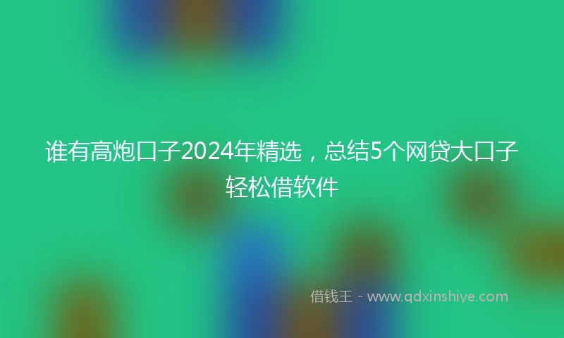谁有高炮口子2024年精选，总结5个网贷大口子轻松借软件