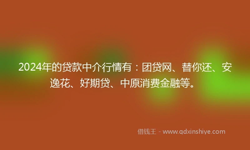 2024年的贷款中介行情有：团贷网、替你还、安逸花、好期贷、中原消费金融等。
