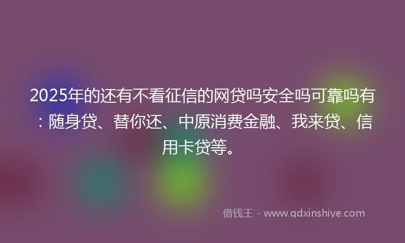 2025年的还有不看征信的网贷吗安全吗可靠吗有：随身贷、替你还、中原消费金融、我来贷、信用卡贷等。