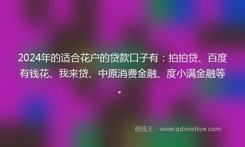 2024年的适合花户的贷款口子有：拍拍贷、百度有钱花、我来贷、中原消费金融、度小满金融等。