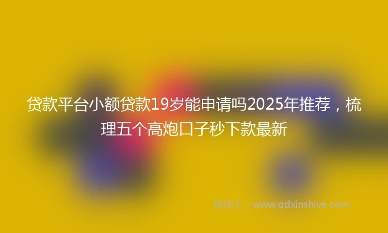 贷款平台小额贷款19岁能申请吗2025年推荐，梳理五个高炮口子秒下款最新