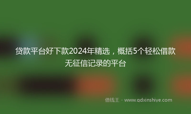 贷款平台好下款2024年精选，概括5个轻松借款无征信记录的平台
