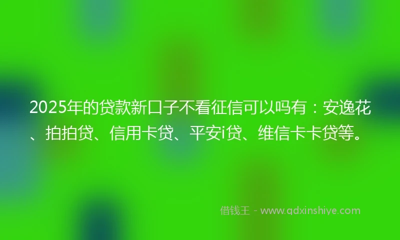 2025年的贷款新口子不看征信可以吗有：安逸花、拍拍贷、信用卡贷、平安i贷、维信卡卡贷等。