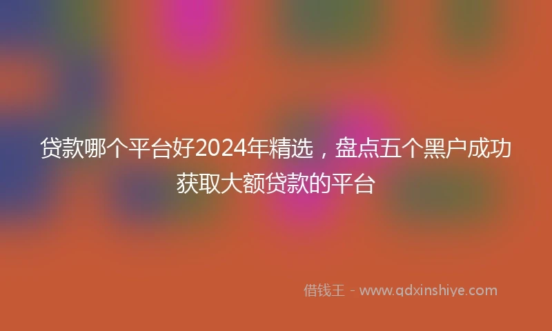 贷款哪个平台好2024年精选,盘点五个黑户成功获取大额贷款的平台