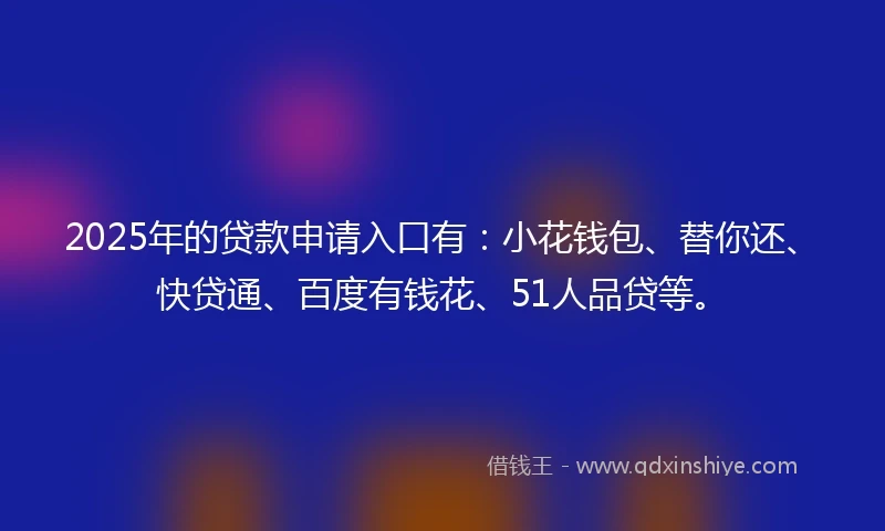 2025年的贷款申请入口有：小花钱包、替你还、快贷通、百度有钱花、51人品贷等。