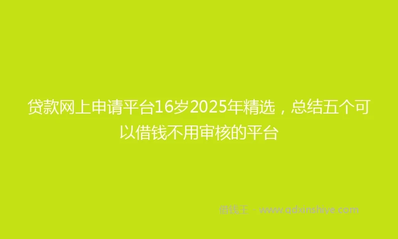 贷款网上申请平台16岁2025年精选，总结五个可以借钱不用审核的平台
