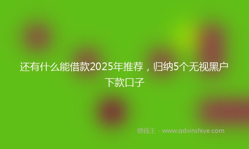 还有什么能借款2025年推荐，归纳5个无视黑户下款口子
