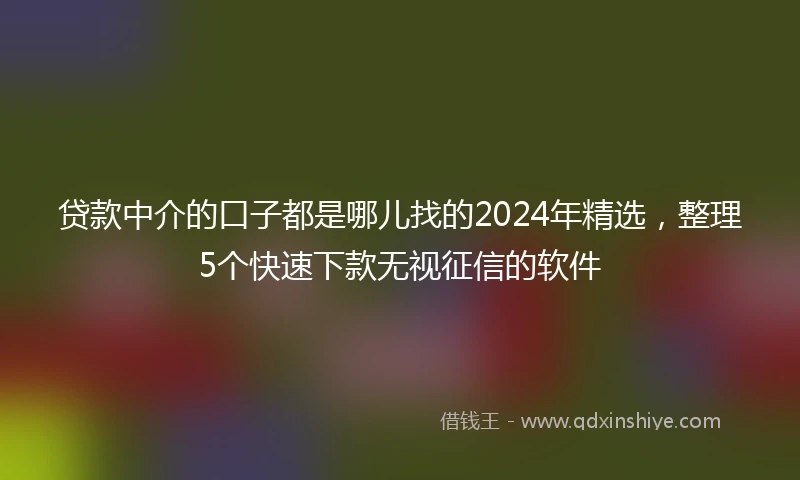 贷款中介的口子都是哪儿找的2024年精选，整理5个快速下款无视征信的软件
