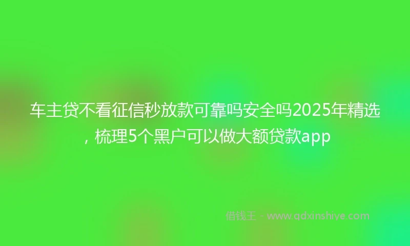 车主贷不看征信秒放款可靠吗安全吗2025年精选，梳理5个黑户可以做大额贷款app