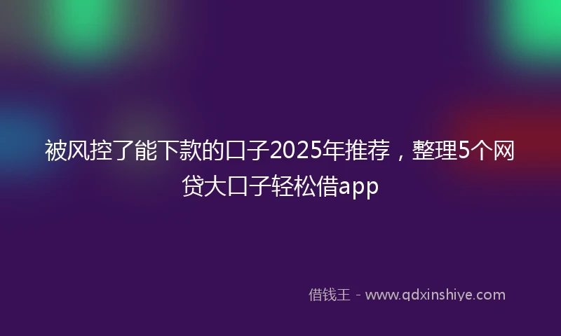 被风控了能下款的口子2025年推荐，整理5个网贷大口子轻松借app