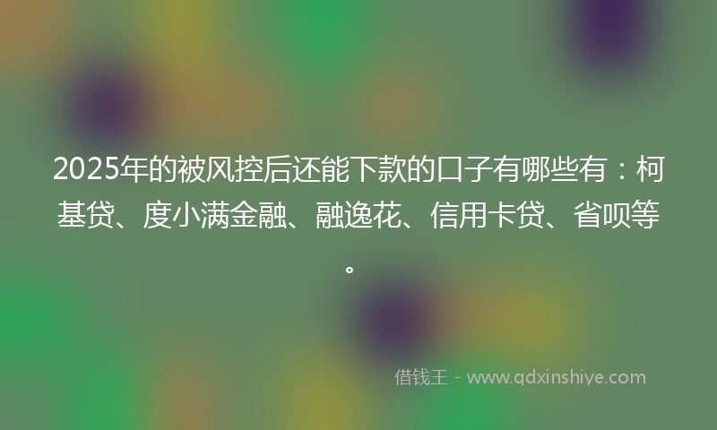2025年的被风控后还能下款的口子有哪些有：柯基贷、度小满金融、融逸花、信用卡贷、省呗等。