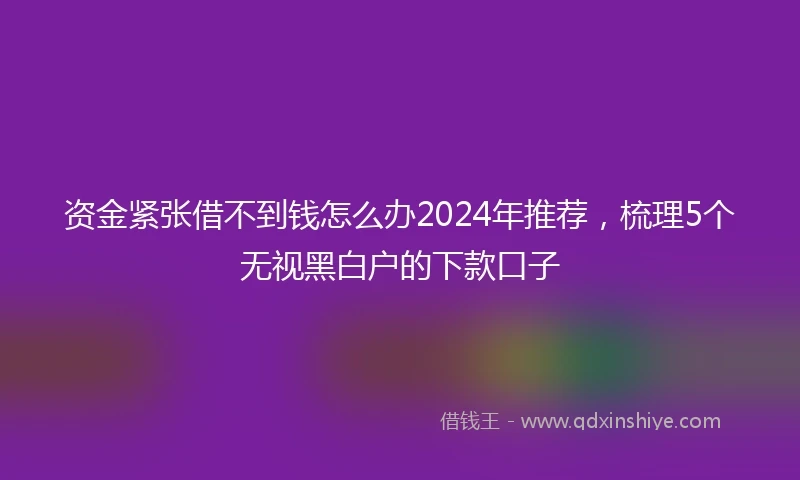资金紧张借不到钱怎么办2024年推荐，梳理5个无视黑白户的下款口子