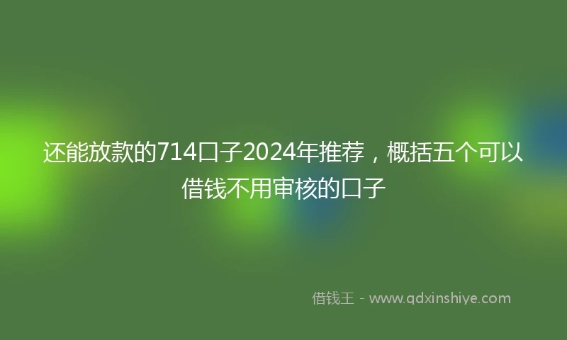 还能放款的714口子2024年推荐，概括五个可以借钱不用审核的口子
