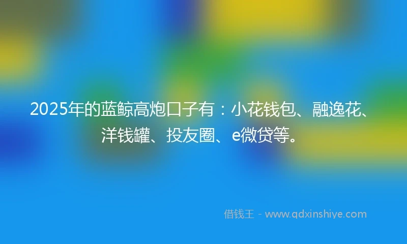 2025年的蓝鲸高炮口子有：小花钱包、融逸花、洋钱罐、投友圈、e微贷等。
