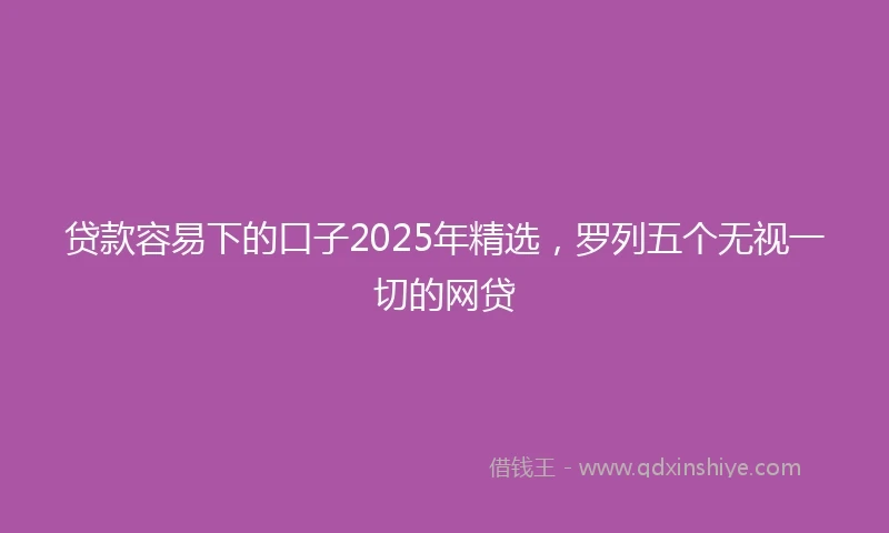 贷款容易下的口子2025年精选，罗列五个无视一切的网贷