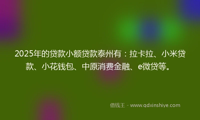 2025年的贷款小额贷款泰州有：拉卡拉、小米贷款、小花钱包、中原消费金融、e微贷等。