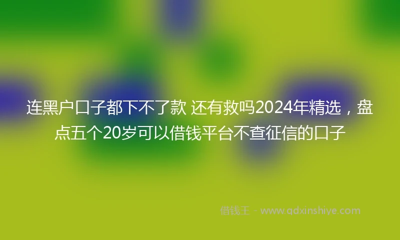 连黑户口子都下不了款 还有救吗2024年精选，盘点五个20岁可以借钱平台不查征信的口子