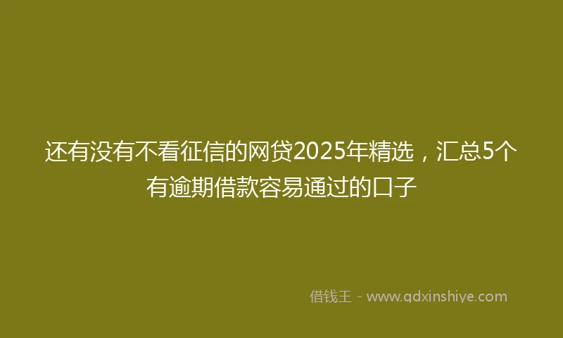 还有没有不看征信的网贷2025年精选，汇总5个有逾期借款容易通过的口子