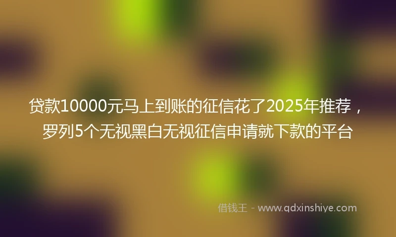 贷款10000元马上到账的征信花了2025年推荐，罗列5个无视黑白无视征信申请就下款的平台