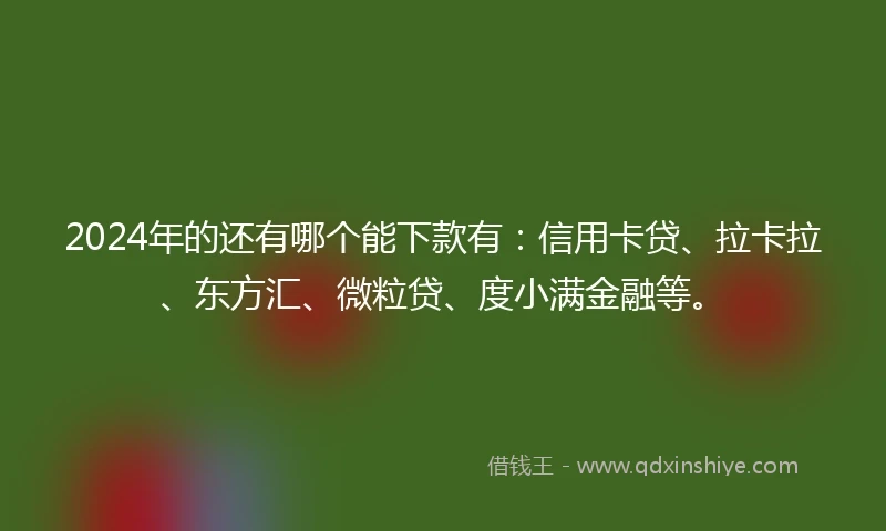 2024年的还有哪个能下款有：信用卡贷、拉卡拉、东方汇、微粒贷、度小满金融等。