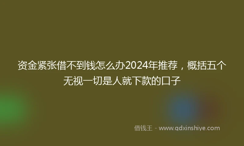 资金紧张借不到钱怎么办2024年推荐，概括五个无视一切是人就下款的口子