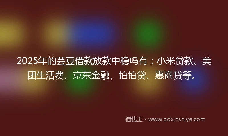 2025年的芸豆借款放款中稳吗有：小米贷款、美团生活费、京东金融、拍拍贷、惠商贷等。