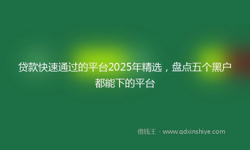 贷款快速通过的平台2025年精选，盘点五个黑户都能下的平台