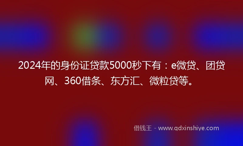 2024年的身份证贷款5000秒下有：e微贷、团贷网、360借条、东方汇、微粒贷等。
