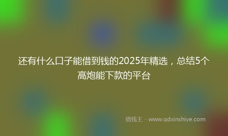 还有什么口子能借到钱的2025年精选，总结5个高炮能下款的平台