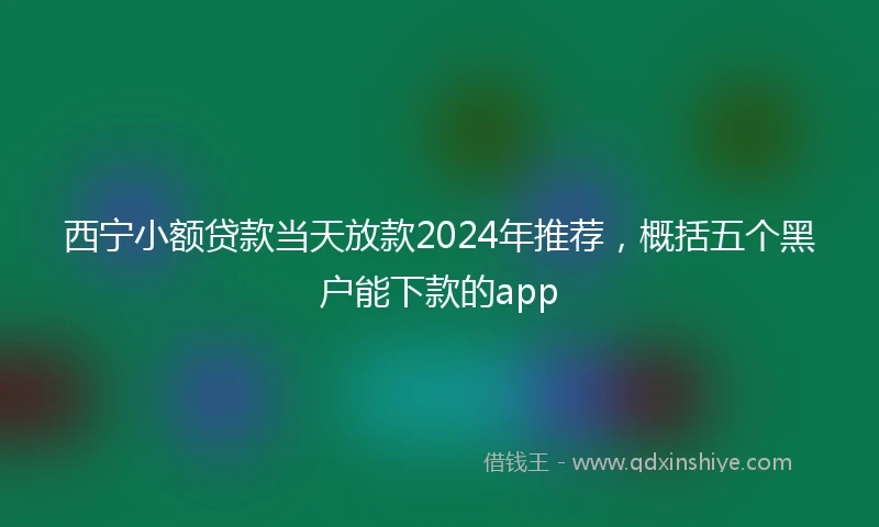 西宁小额贷款当天放款2024年推荐，概括五个黑户能下款的app