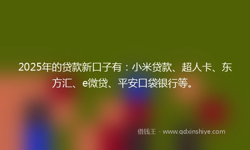 2025年的贷款新口子有：小米贷款、超人卡、东方汇、e微贷、平安口袋银行等。
