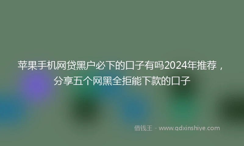 苹果手机网贷黑户必下的口子有吗2024年推荐，分享五个网黑全拒能下款的口子