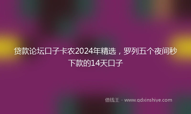 贷款论坛口子卡农2024年精选，罗列五个夜间秒下款的14天口子