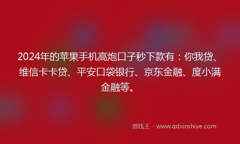 2024年的苹果手机高炮口子秒下款有：你我贷、维信卡卡贷、平安口袋银行、京东金融、度小满金融等。