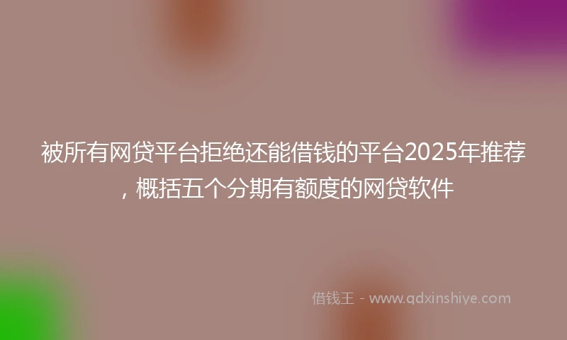 被所有网贷平台拒绝还能借钱的平台2025年推荐，概括五个分期有额度的网贷软件