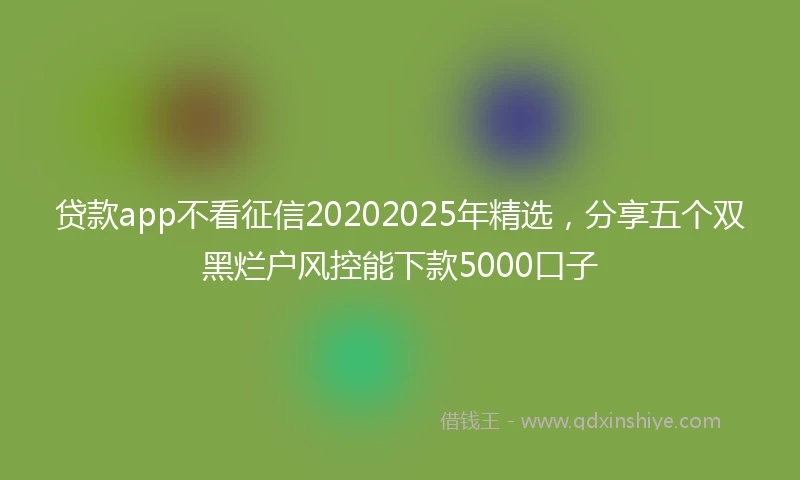 贷款app不看征信20202025年精选，分享五个双黑烂户风控能下款5000口子