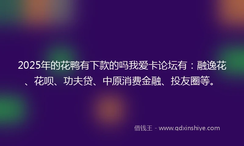 2025年的花鸭有下款的吗我爱卡论坛有：融逸花、花呗、功夫贷、中原消费金融、投友圈等。