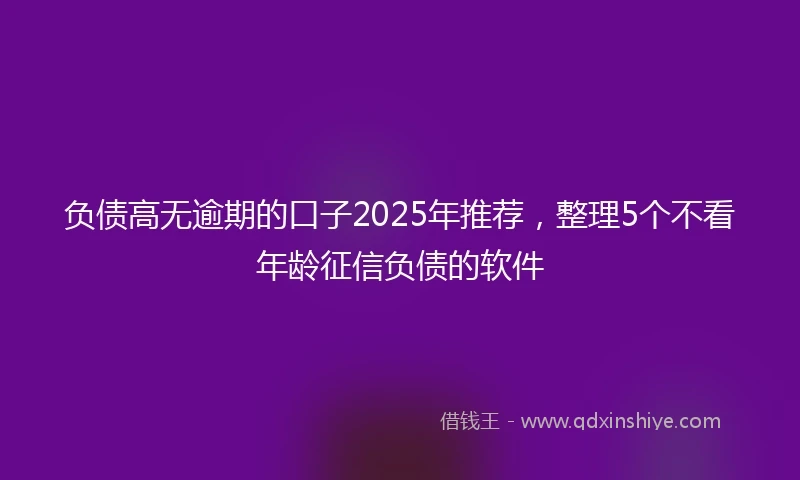 负债高无逾期的口子2025年推荐，整理5个不看年龄征信负债的软件