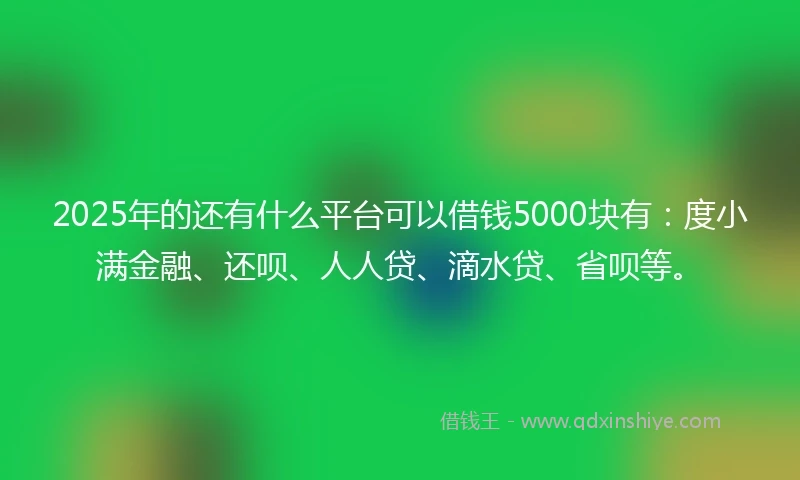 2025年的还有什么平台可以借钱5000块有：度小满金融、还呗、人人贷、滴水贷、省呗等。
