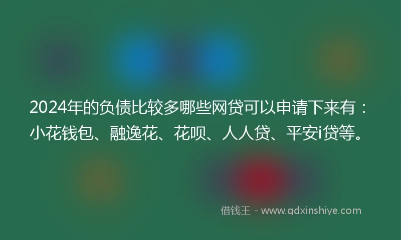 2024年的负债比较多哪些网贷可以申请下来有：小花钱包、融逸花、花呗、人人贷、平安i贷等。