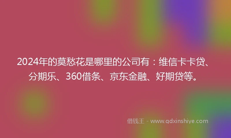 2024年的莫愁花是哪里的公司有：维信卡卡贷、分期乐、360借条、京东金融、好期贷等。