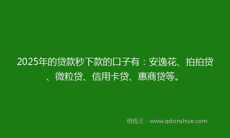 2025年的贷款秒下款的口子有：安逸花、拍拍贷、微粒贷、信用卡贷、惠商贷等。