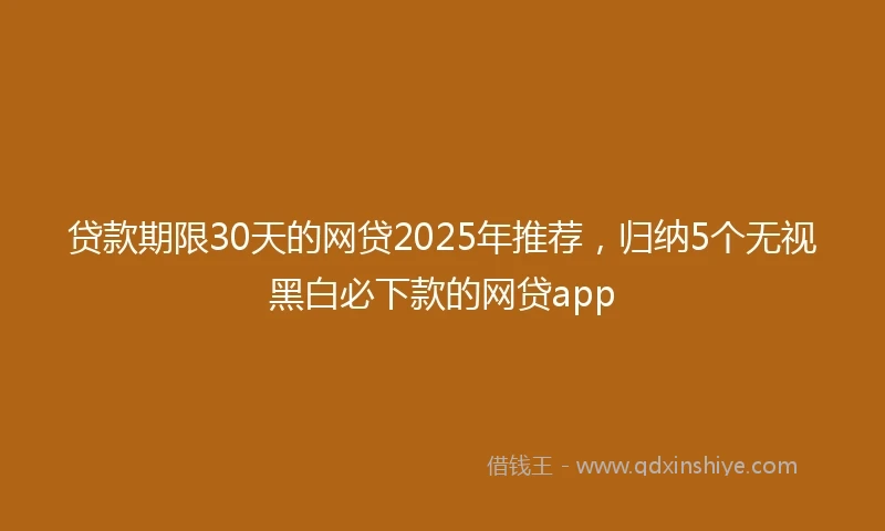 贷款期限30天的网贷2025年推荐，归纳5个无视黑白必下款的网贷app