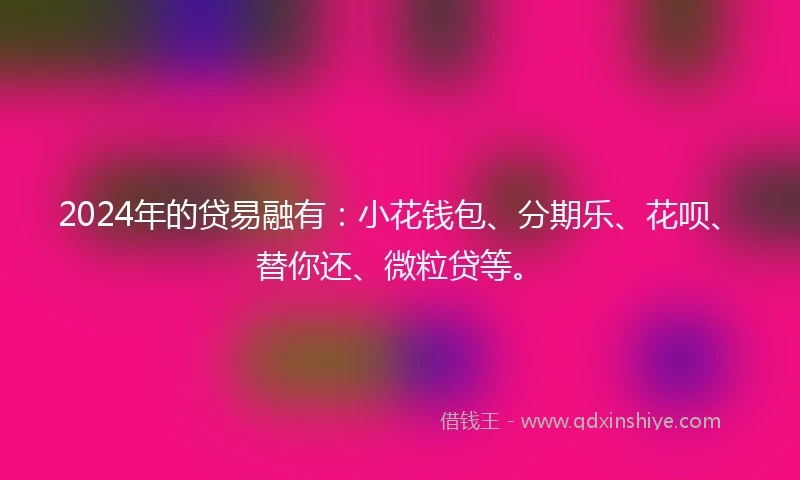 2024年的贷易融有：小花钱包、分期乐、花呗、替你还、微粒贷等。