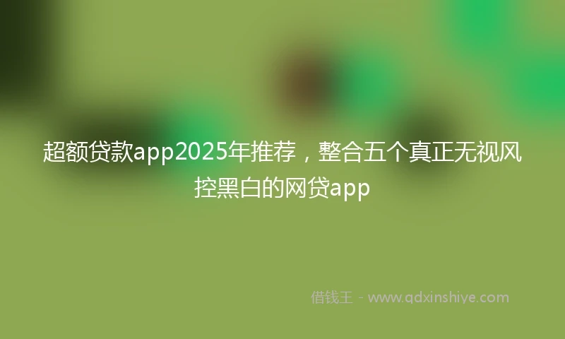 超额贷款app2025年推荐，整合五个真正无视风控黑白的网贷app