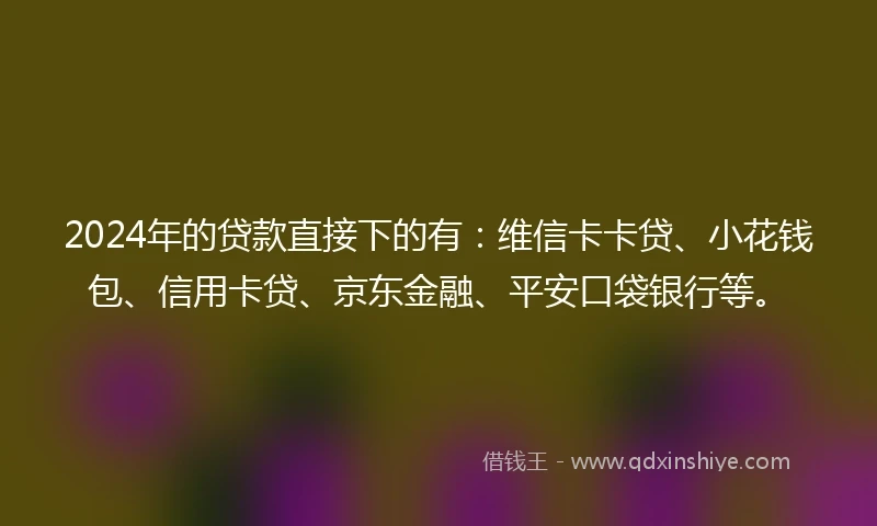 2024年的贷款直接下的有：维信卡卡贷、小花钱包、信用卡贷、京东金融、平安口袋银行等。
