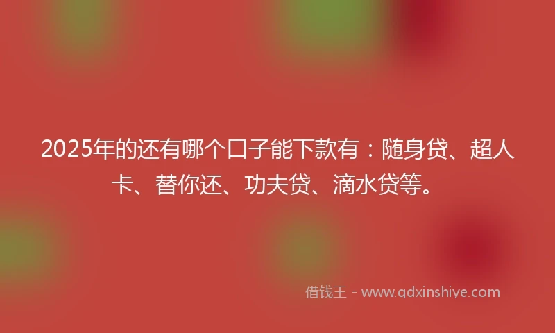 2025年的还有哪个口子能下款有：随身贷、超人卡、替你还、功夫贷、滴水贷等。