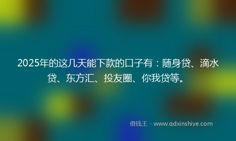 2025年的这几天能下款的口子有：随身贷、滴水贷、东方汇、投友圈、你我贷等。