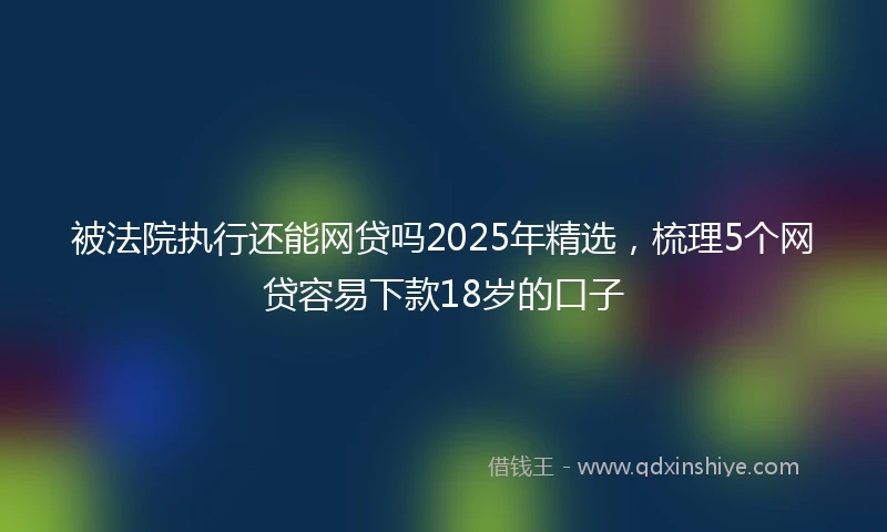 被法院执行还能网贷吗2025年精选，梳理5个网贷容易下款18岁的口子